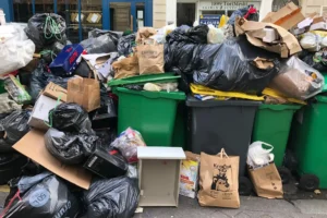 Junk Removal in Barsha Heights Dubai