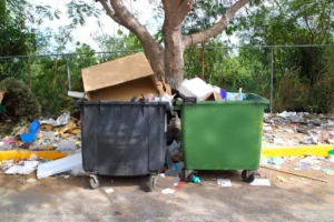 Junk Removal in Al Sufouh Dubai
