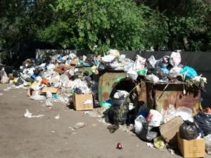 Junk Removal in Jumeirah Park