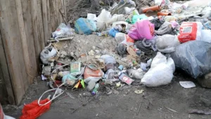 Junk Removal in Reem Dubai