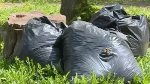 Junk Removal in The Lakes Dubai