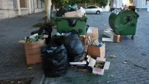 Junk Removal in The Villa Dubai