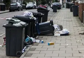Quick Trash Removal in Villanova Dubai