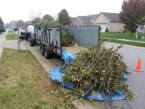 yard waste removal Service in The valley