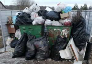 Junk Removal JLT