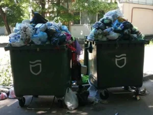 Waste Removal Dubai